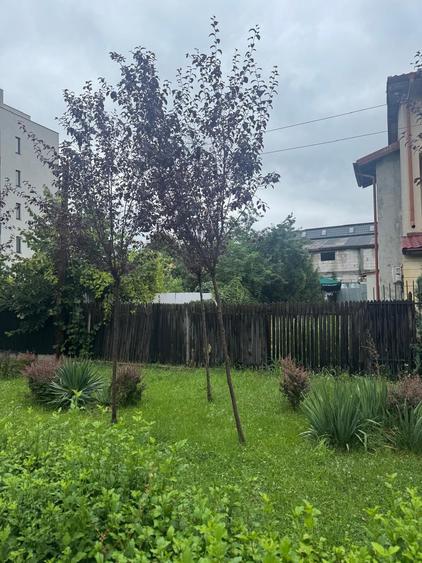 Teren intravilan de 564 mp, în Sisești