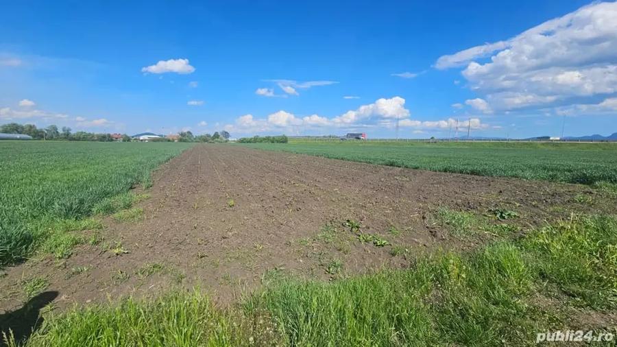 Teren în Stupini
