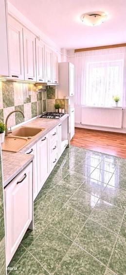 Apartament cu 2 camere în Beba Veche