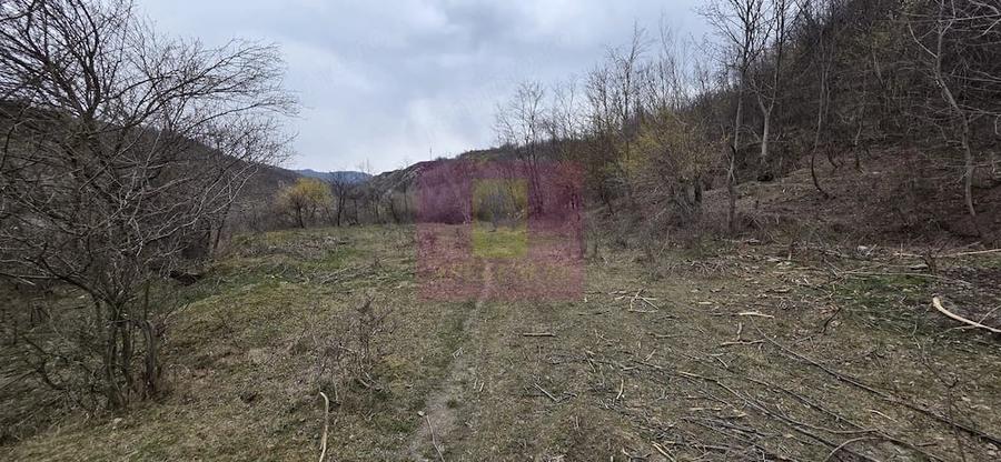 Teren de 1006 mp, în Brebu