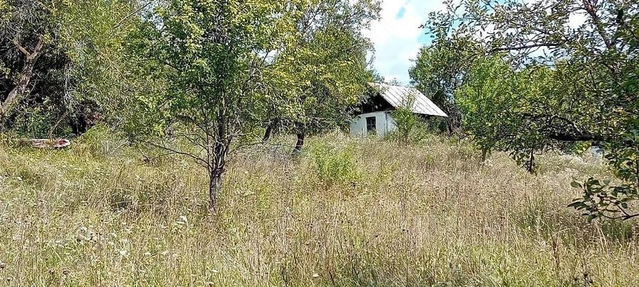 Teren de 12000 mp, în Suslănești