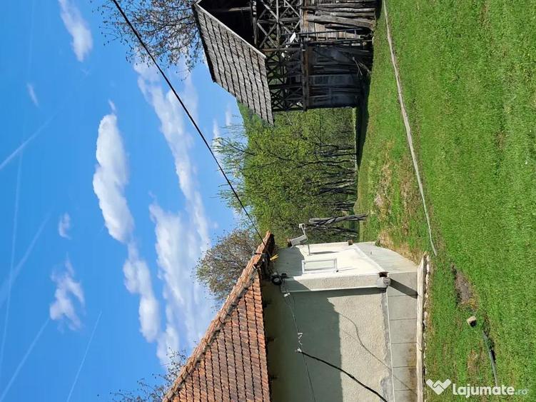 Teren de 10000 mp, în Tomșani