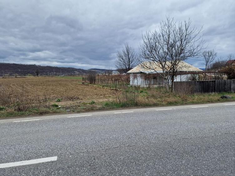 Teren intravilan in Sanduleni/Bacau de vanzare - 5