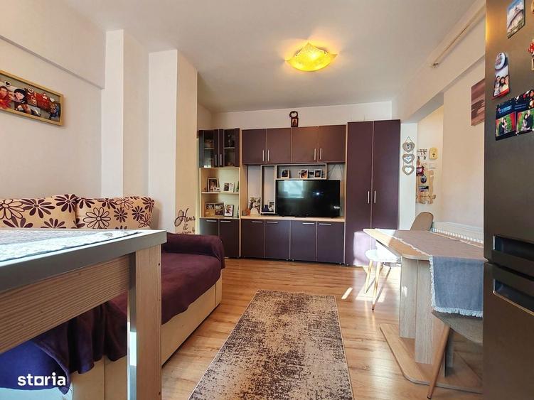Apartament 2 camere Eremia Grigorescu, etaj 1, centrala, mobilat - 5