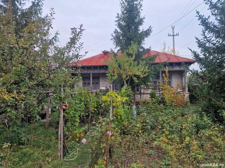 Casa +Teren1300mp[livada+vie] Sat Izvoru Giurgiu - 3