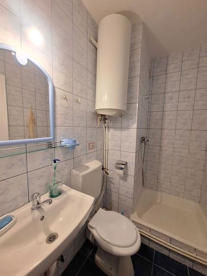 Garsoniera Titan - Constantin Brancusi - 7