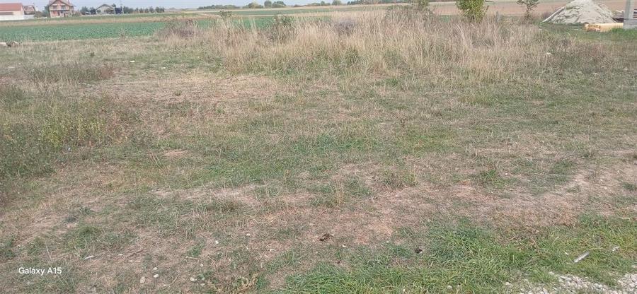 RECO Teren intravilan in Tarian - 1