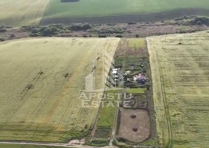 Farmhouse la 14km de Timisoara, teren agricol 1ha - 1