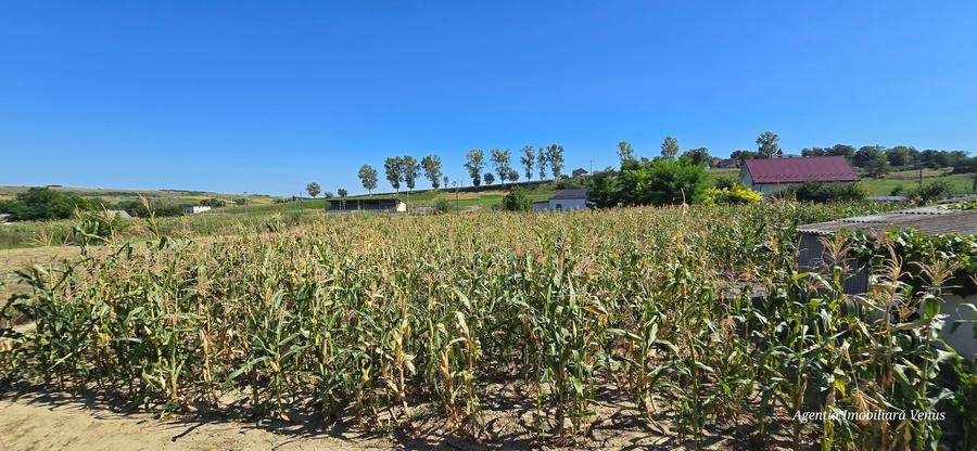 Casa de vanzare la Ipotesti! - 6