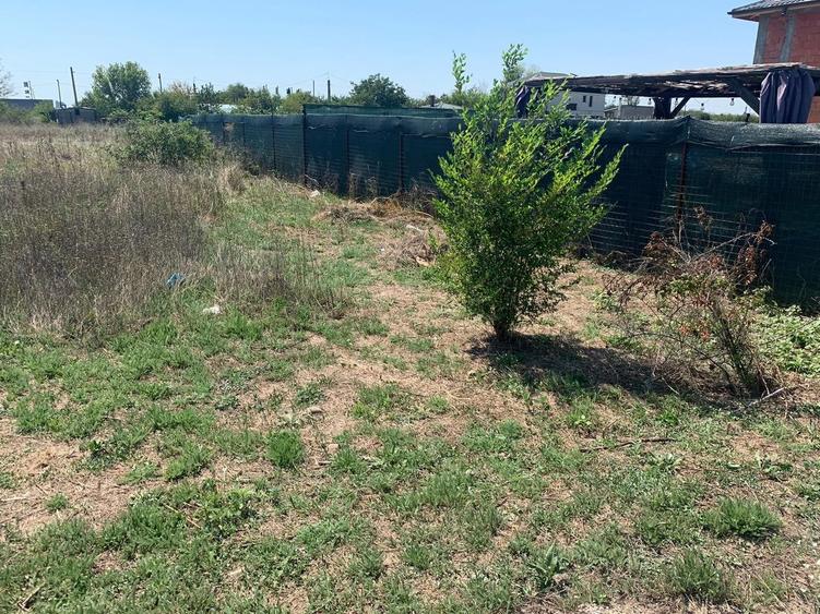 Teren pentru triplex Crisul Repede Bragadiru - 3