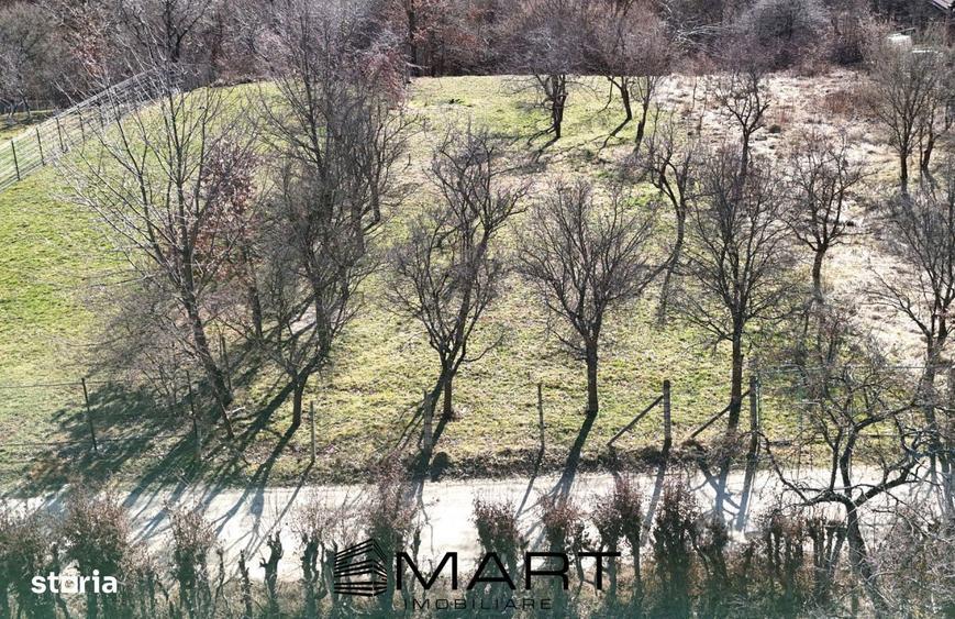 Teren intravilan 1000mp Padurea Dumbrava - 3