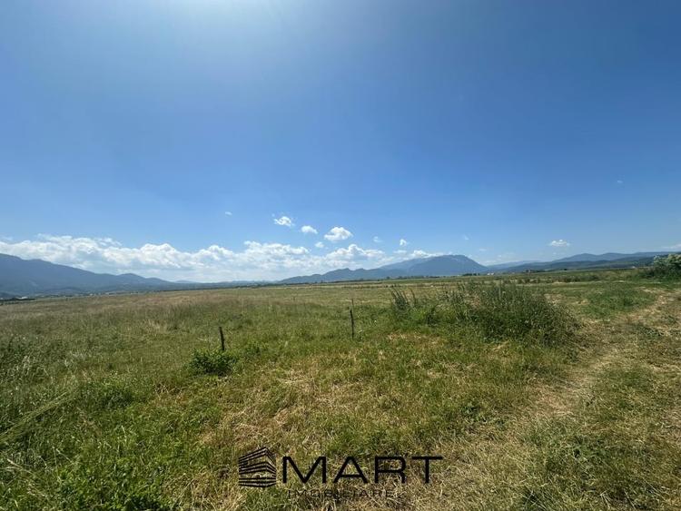 Teren Intravilan Rasnov 7.500 mp - 6