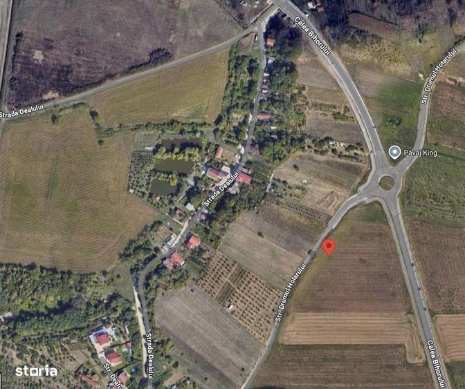 Teren Extravilan Episcopia - 1