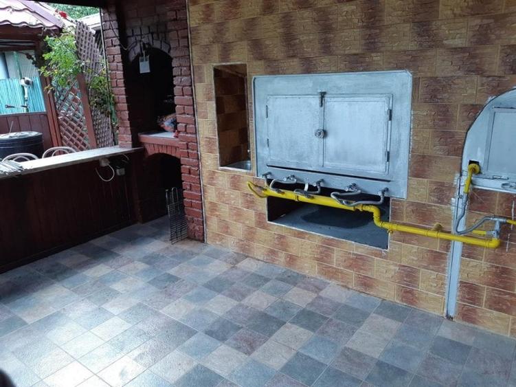 Refugiul tău verde, aproape de oraș la Snagov - 9