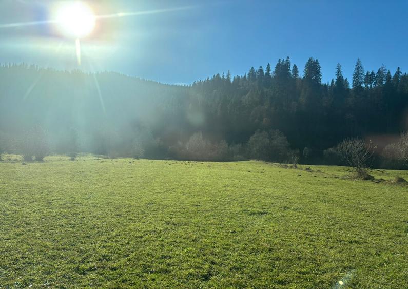 Teren intravilan - 7