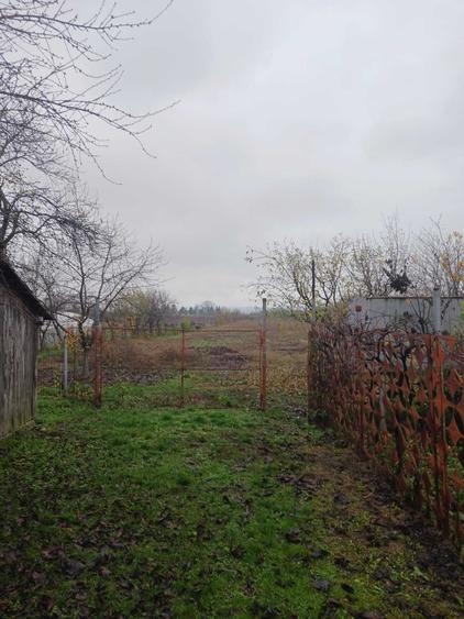 Casa cu teren de vanzare in comuna Verguleasa, judetul Olt - 4
