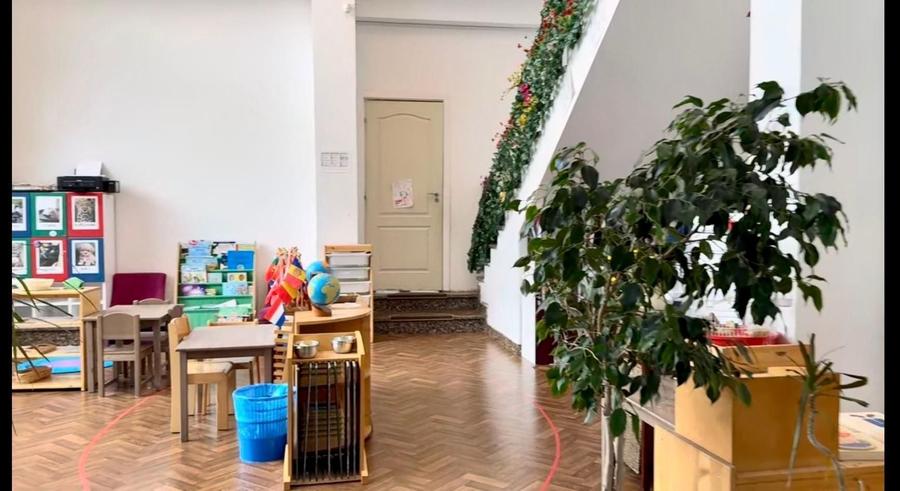 Vilă individuală 17 camere, 850 mp teren | Grădiniță / clinică | Iancu Nicolae - 9