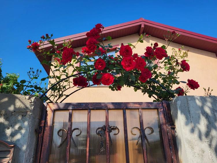 Casa de vanzare in Cumpana mobilata complet - 1