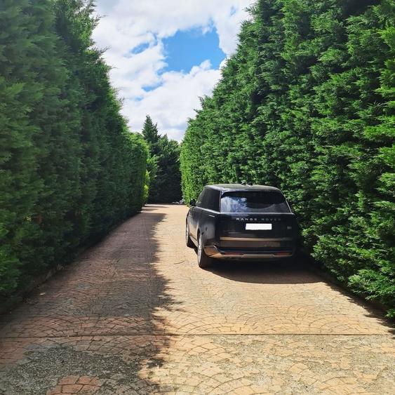 Bucium | locuinta impunatoare | refugiu al linistii si rafinamentului - 5