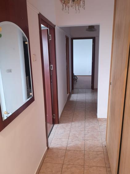 Apartament 3 camere Giurgiului - Luica - 10