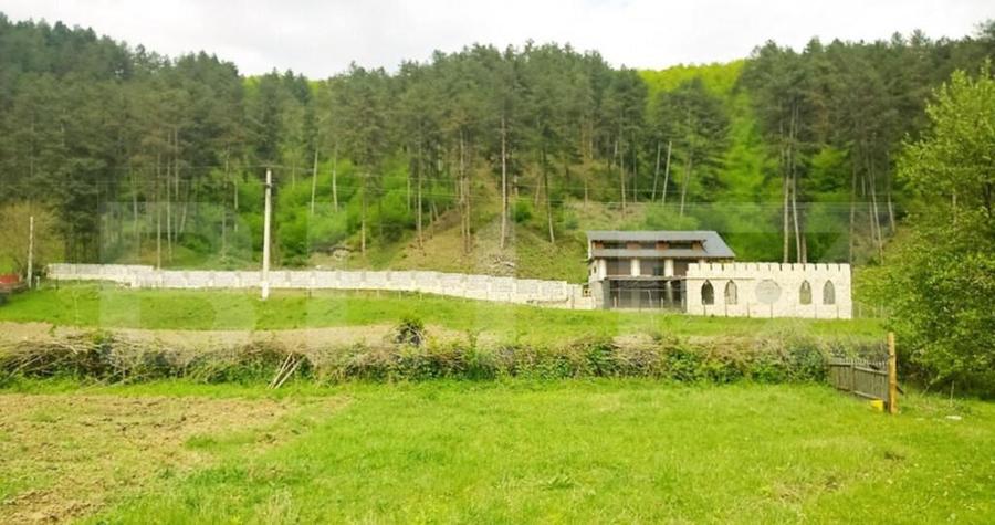 Oportunitate!!! Casa individuala la rosu, 247 mp, Teren 5000 - 14