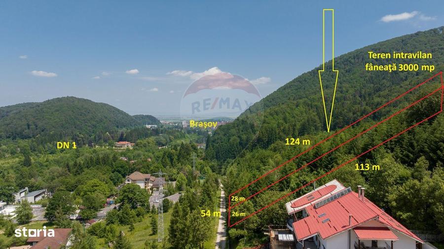 Teren intravilan, 3000 mp, Dambu Morii - 7