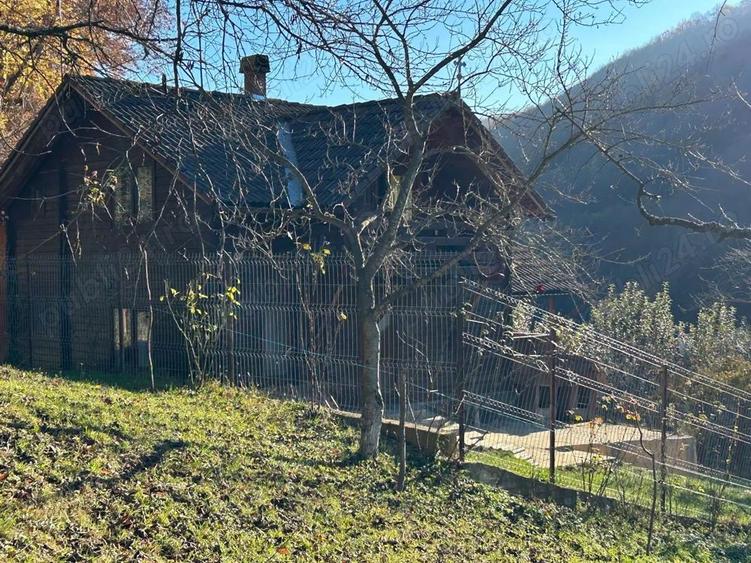 Casa de vacanta cu padure si livada - 5