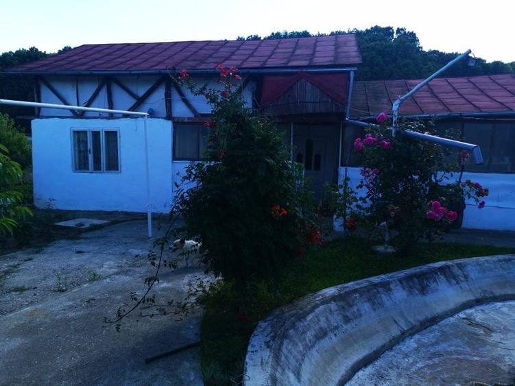 Imobil Mosoaia - Hintesti, 14 camere, teren 1.382mp - 25