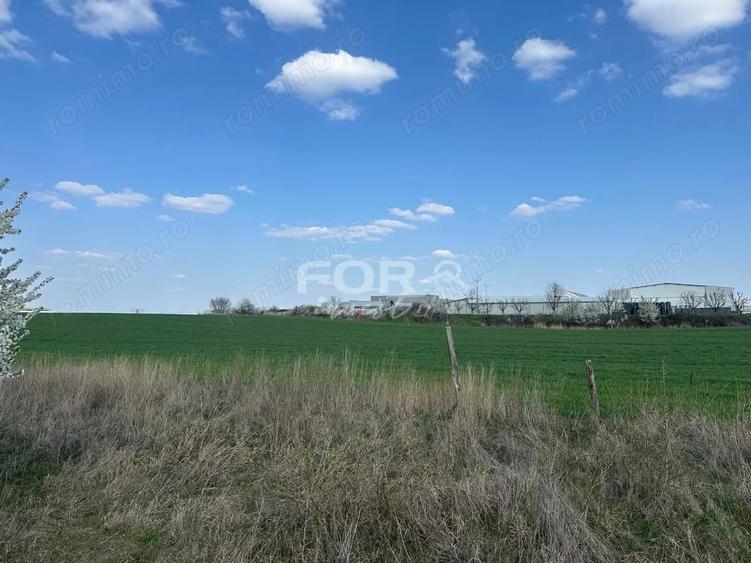 Teren intravilan de vanzare 1000 mp zona Aeroport Oradea - 2