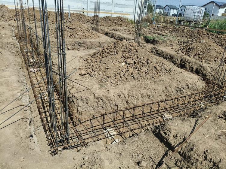 Vila Dragomiresti Vale - 1