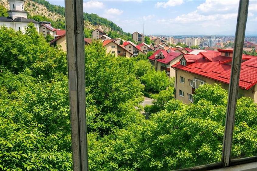 Garsoniera regim vila,cu vedere in verde, mobilata si utilata, Central- Racadau, - 6