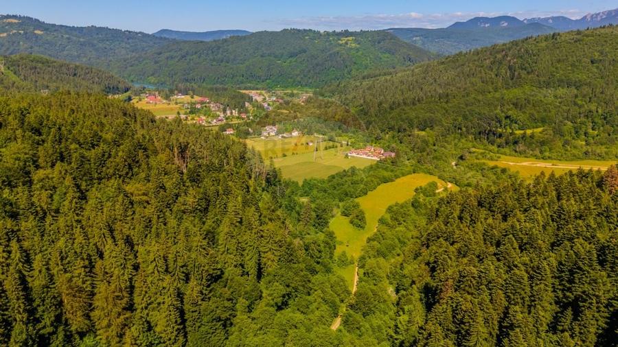 COMISION 0% Teren Bradet 7300 + 6000 mp/ Sacele /Intravilan - 8