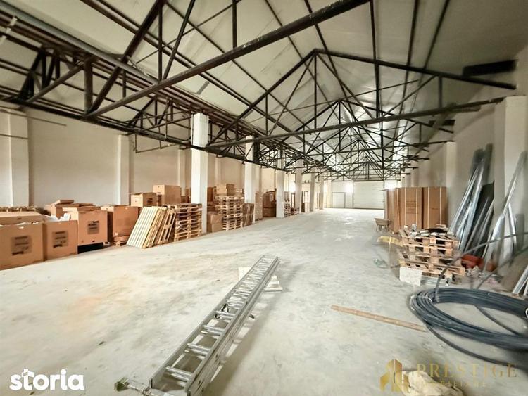 Hala 500 mp de inchiriat in Livada la 5 min de Aeroportul Oradea - 9