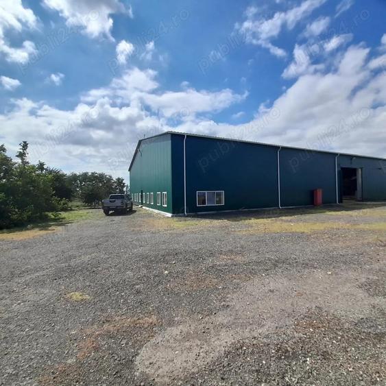 Industrial hall for sale in Filipe?ti, Braila 2,250 sqm hall on 30,000 sqm land for construction - 1
