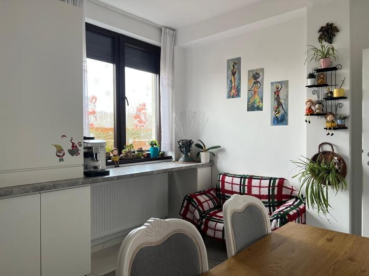 Petre Ispirescu, Malcoci - 1