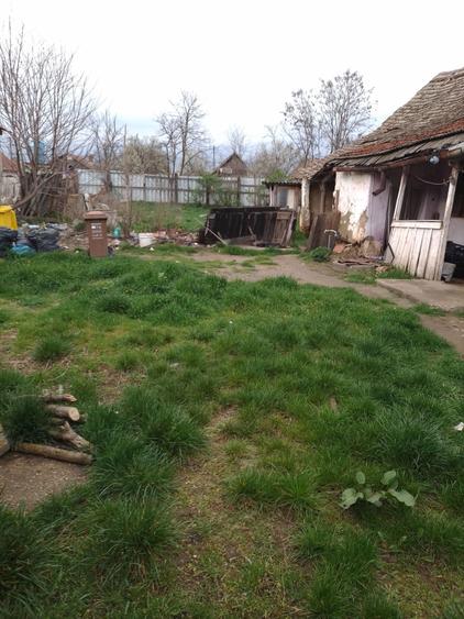 Casa cu 3 camere - 1