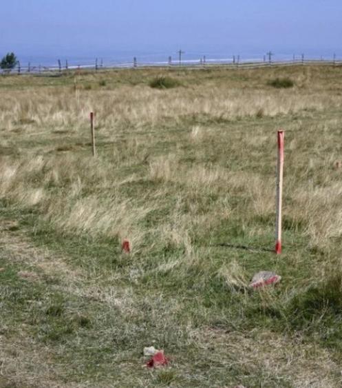 Teren intravilan zona Paltinis - 3