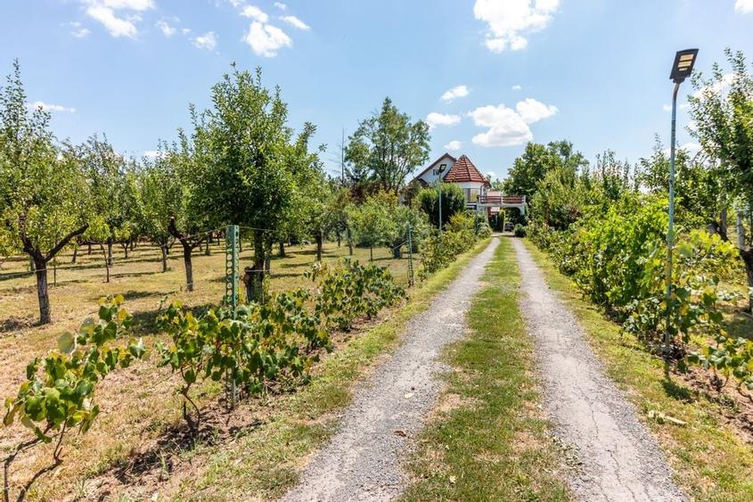 Casa+Laborator+ Teren 12.700 mp + casa de vacanta - Bolintin Vale - 45