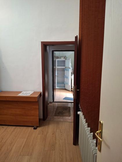 3camere Calarasi Pictor Romano Casa Bessler - 11