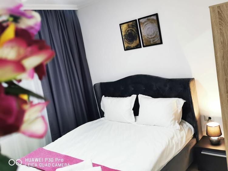 Garsoniera in zona Lipovei cocheta 250 euro - 8