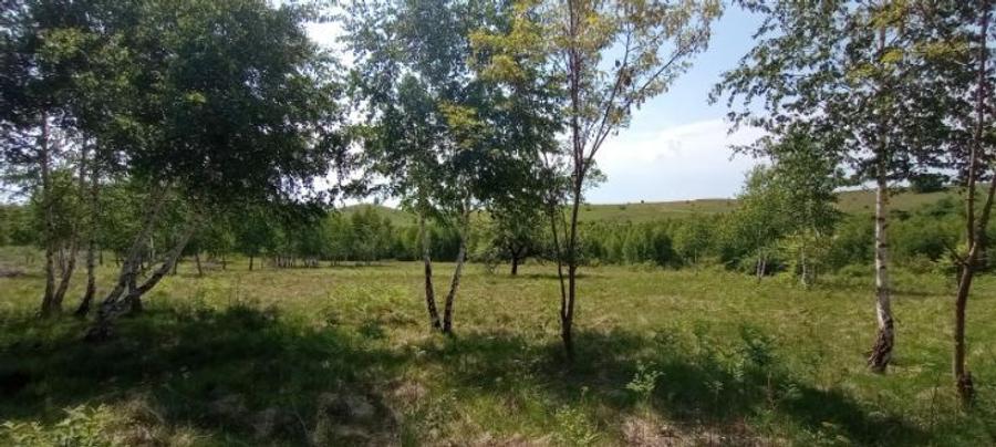 Vand teren pentru constructie casa in zona Casele Micesti - 6