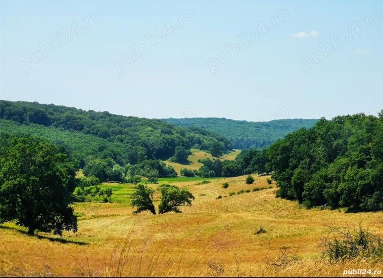 Teren de 50000 mp, în Central