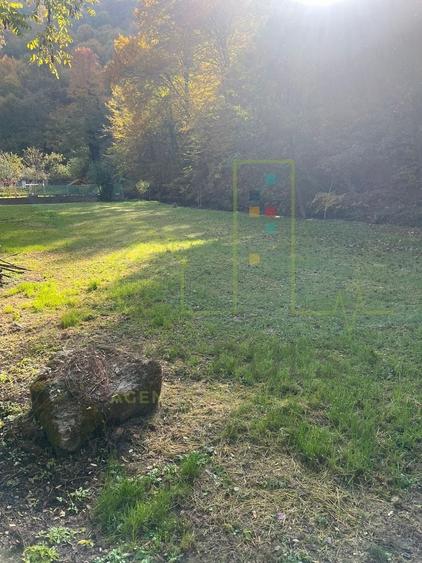 Proprietar. Vand teren. Paraul Runcu este limita de proprietate. Drum asfaltat - 2