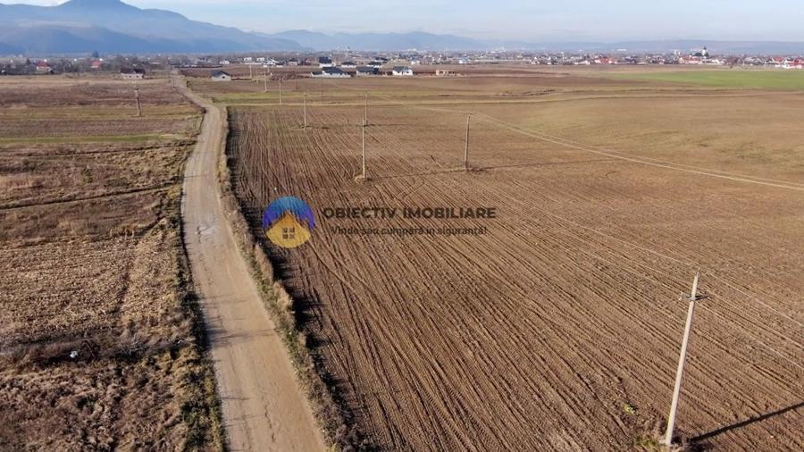 Teren investitie intravilan 3600 mp – Dumbrava Rosie - 3