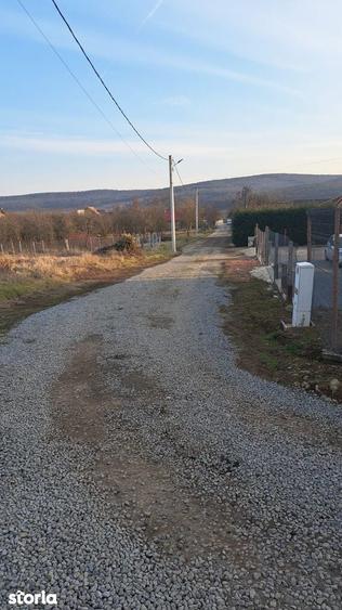 Livezeni - Vanzare teren intravilan - Str. Livezii - 6