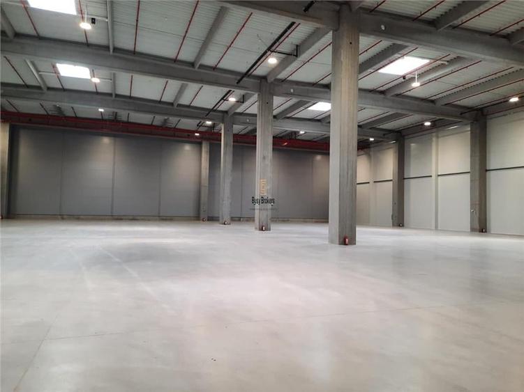 Spatiu Industrial - 5300 mp - Logistica - Productie - Depozitare - Distributie - 17