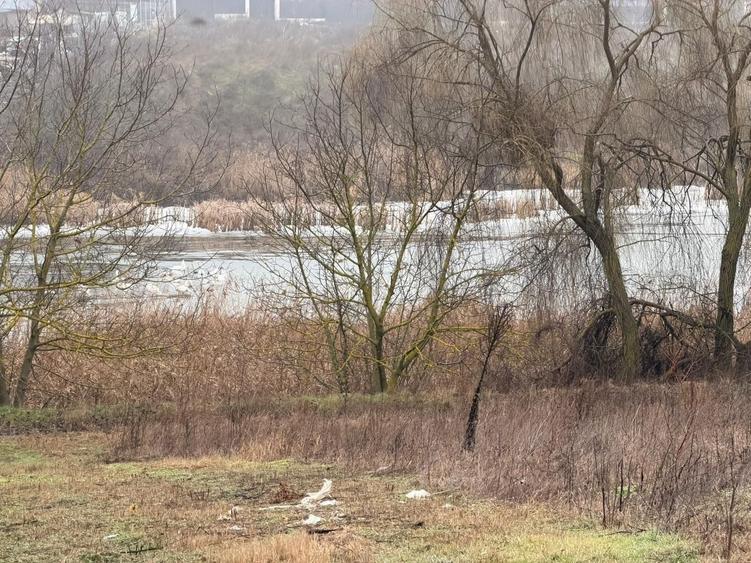 Teren cu deschidere la lac | 50 m Padure | 1000 MP - 8