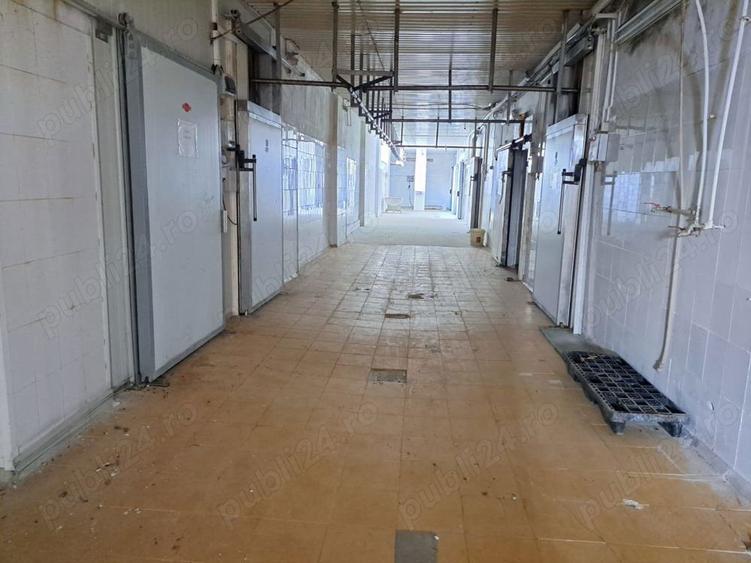 Vand hale frig (1200 mp)+teren intravilan 6400 mp (3000 curte betonata) in Carani (intre TM si AR ) - 14