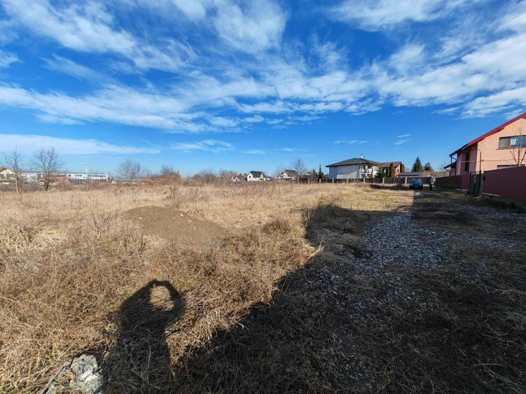 Lot casa, Serbanesti - 4