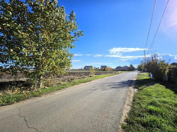 Teren intravilan Moara Vlasiei / Caciulati / 1.748 mp / D: 15.8 m / comision 0% - 8